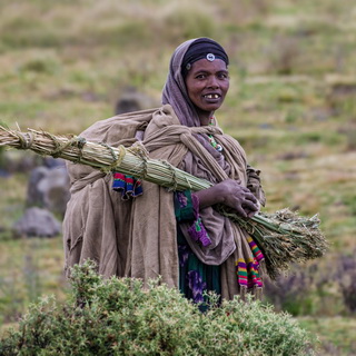 Simien Mountains - Ghenek - Woman